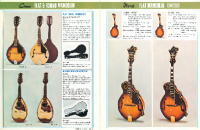 Ibanez 1976-Mandolin - Catalog 